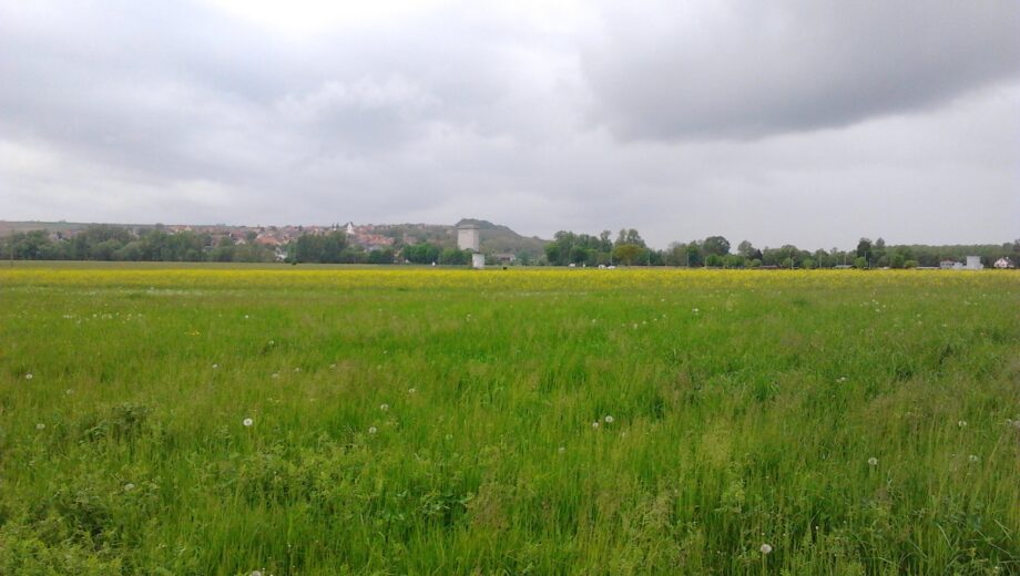 2013-05-14 prairie PPR Mommenheim