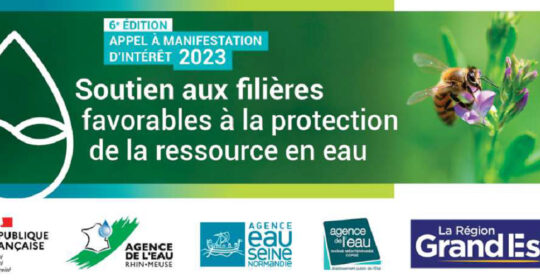 logoAMI2023