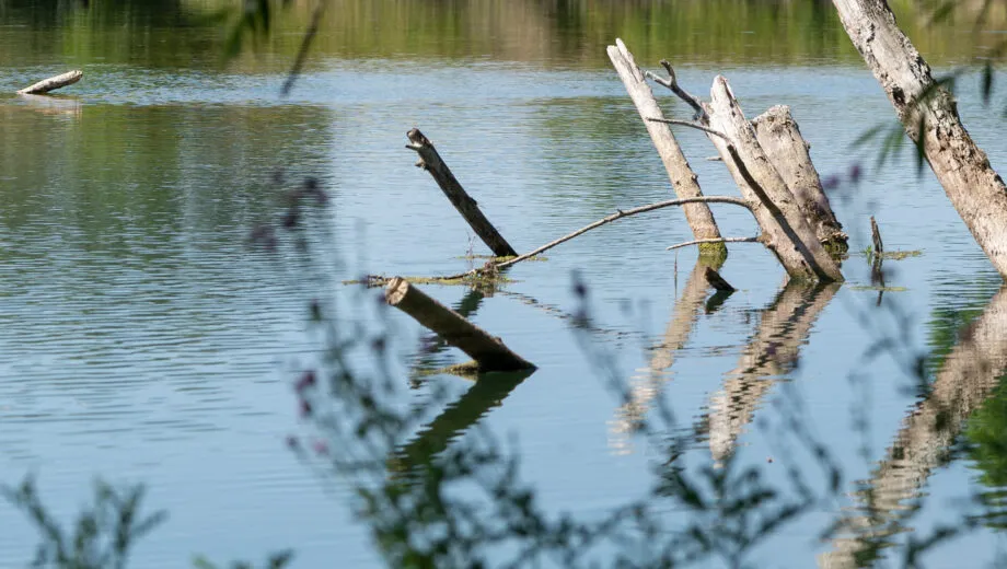 ruisseau-actu-rhinmeuse