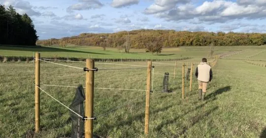 agroforesterie