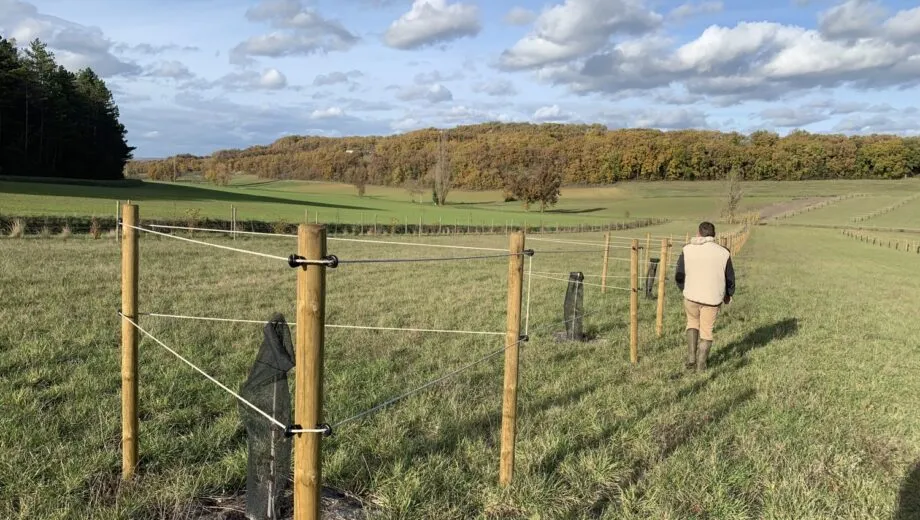 agroforesterie