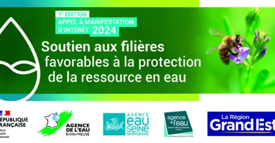 AMI-filieres-bandeau-abeille2024