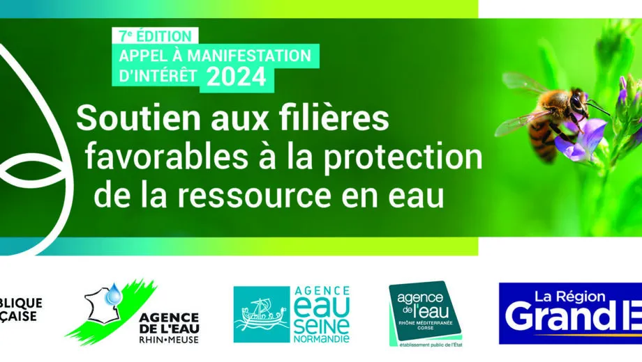 AMI-filieres-bandeau-abeille2024