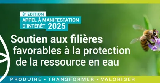 Visuel bandeau 2025